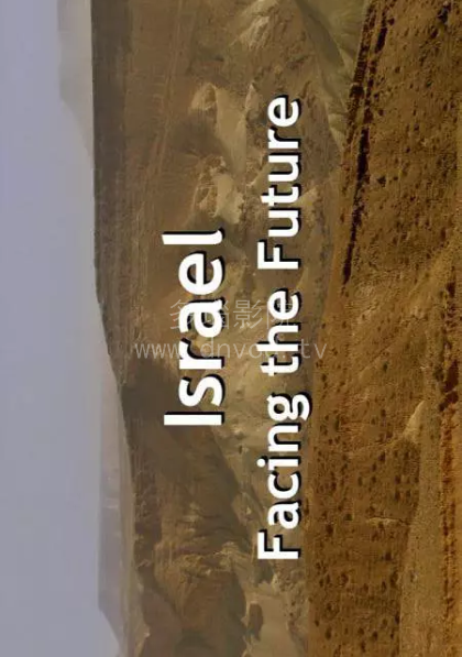 以色列新军武(全集)